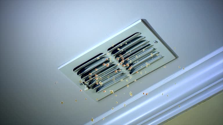 Best Professional Duct Cleaning Services  in , TN