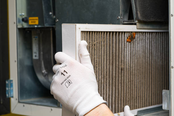 Best Emergency Air Duct Cleaning  in , TN