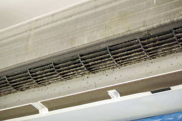 Best Best Air Duct Cleaning Company  in , TN